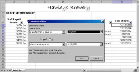 AutoFilters Custom