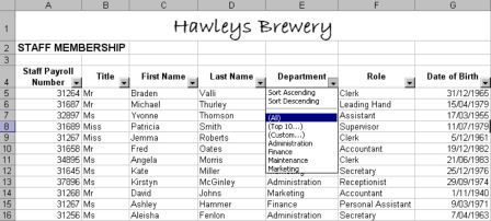 Data Table with AutoFilters Selected