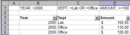 AutoFilter Custom Function in Use